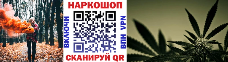 ГАШ Электрогорск