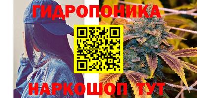 стафф Нарткала