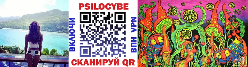 где купить наркотик  Электрогорск  Галлюциногенные грибы Psilocybine cubensis 