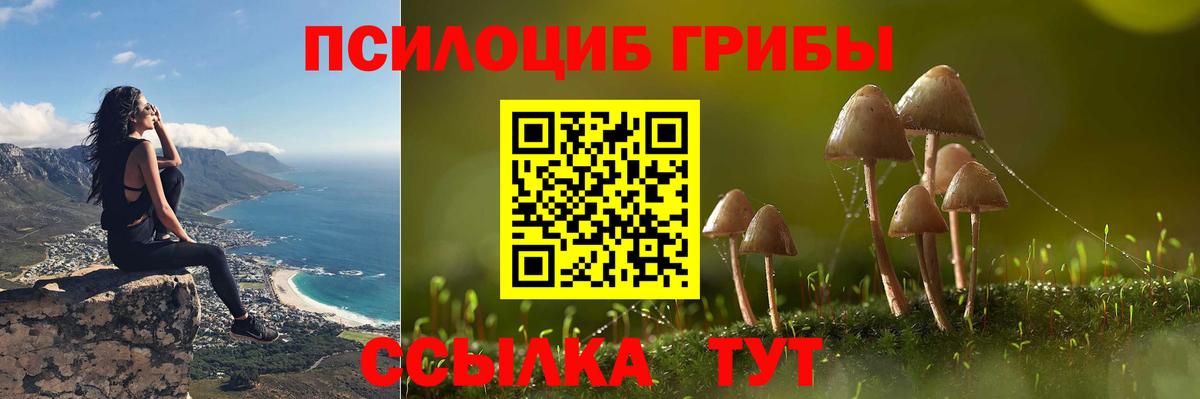 закладки  Псилоцибиновые грибы мухоморы  Вход с VPN  Галлюциногенные грибы Magic Shrooms  Электрогорск 
