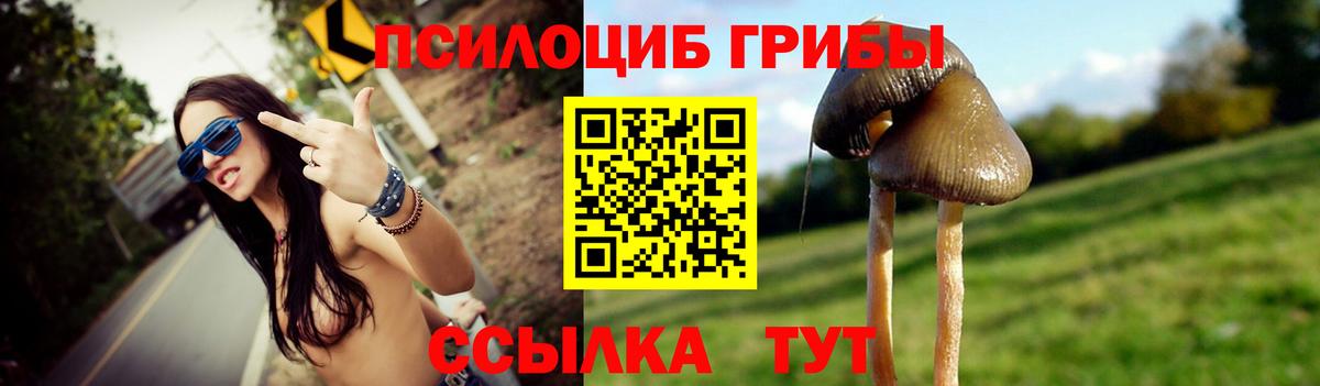 Галлюциногенные грибы мухоморы Электрогорск